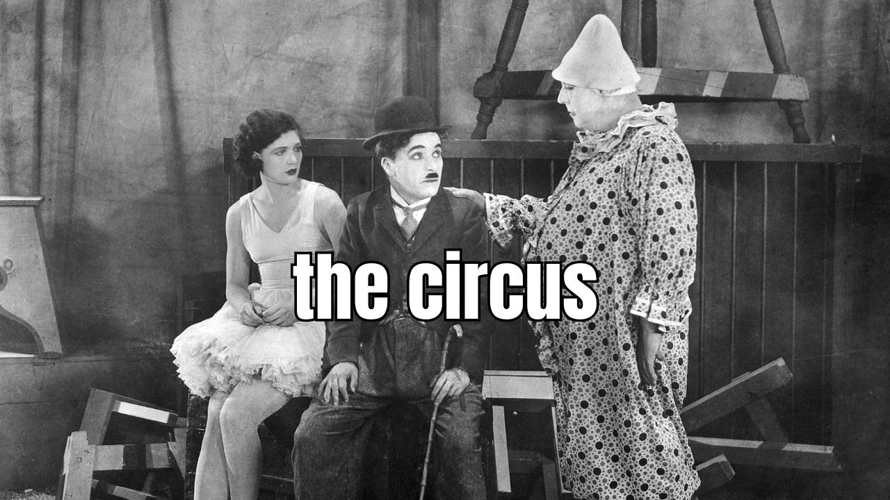 The Circus